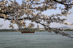 無錫十大最受歡迎景點(diǎn)：黿頭渚上榜，太湖位列第一