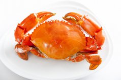 全球十種受歡迎的海鮮排行榜：龍蝦上榜，螃蟹排第一位