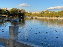 昆明市區(qū)有哪些好玩的地方？昆明市區(qū)十大景點(diǎn)排名