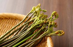六種含有毒素的蔬菜：鮮蠶豆上榜，蕨菜居榜首