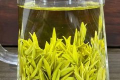 黃茶品牌排行榜前十名，蒙頂黃芽排第一名