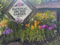 世界上4個最美麗的植物園，新加坡植物園居首位