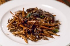 全球十大昆蟲(chóng)美食：活蝎子入榜，蝗蟲(chóng)排第一位